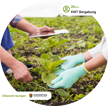 Petani sedang bekerja